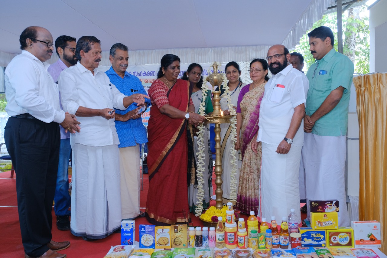 THE ORGANISATION PROFILE